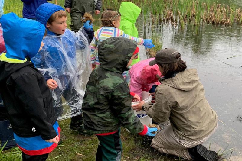 Kindergarten students at wetland