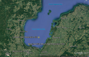 reef saginaw bay lake huron map location restoration north figure site fish michigan habitat