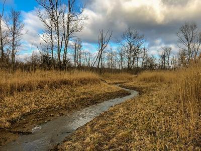 water flowing through a field on a winter day