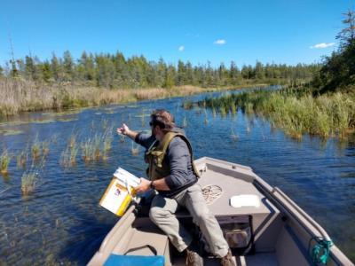 Grand Traverse Band of Ottawa and Chippewa Indians Natural Resource Department Staff Seeding Manoomin (Wild Rice)