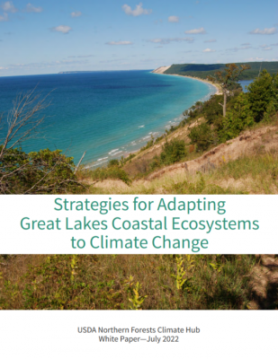 Image of lakeshore with Strategies for Adapting Great Lakes coastal Ecosystems to Climate Change, USDA Northern Forests Climate Hub White Paper - July 2022