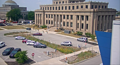 Native plants growing in the rain garden at Gary City Hall in Gary, Indiana. (Credit: USGS)