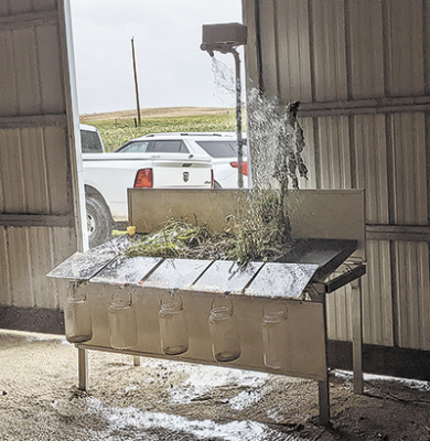 A rainfall simulator demonstrates how rain affects four management types (from left to right) – conventional tillage, unmanaged perennial cool season grass, no-till soybeans after harvest and the Pollacks’ living cover crop mix. The perennial grass experienced zero runoff.