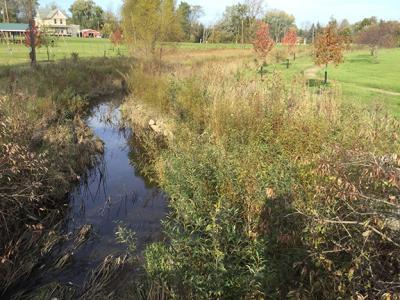 Habitat Restoration Work at Willow Creek in the Black River AOC