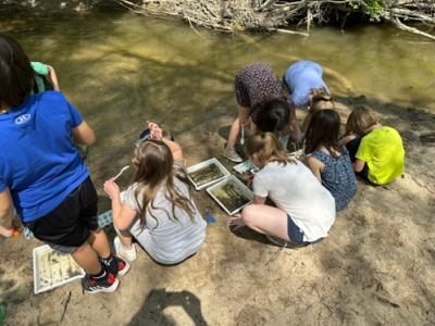 Students from Coolidge Elementary School sort through leaf packs to find benthic macroinvertebrates during their spring monitoring sampling day. (Credit: Friends of the Rouge)