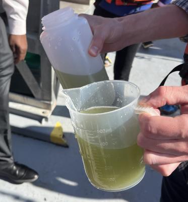 Hands holding small pitcher and water bottle that contains green water.