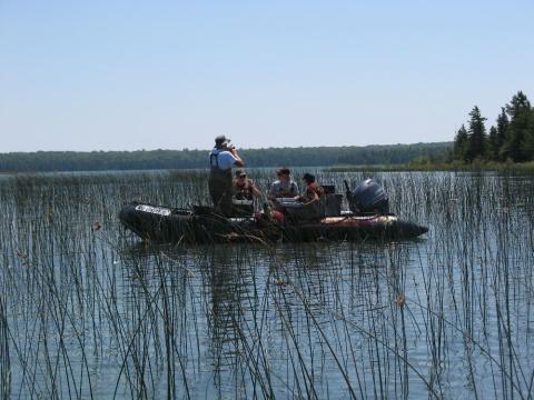 People in waders standing waist deep in water setting a long net for fish.