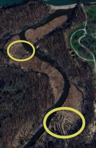The 2023 aerial photo from Google Earth shows the Four Mile Creek wetland.The two areas circled show the tracks from cutting and removing the invasive species phragmites.