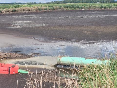 The manure lagoon at Pfeifer Dairy Farms. 