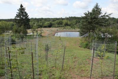 117 acre drainage area with light foliage. 