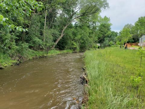 Naturalized streambank and floodplain terrace.