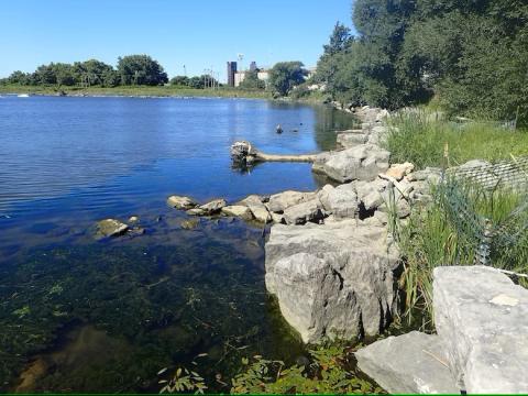 Large stone boulders protect the shoreline and allow aquatic vegetation to establish along the shoreline, while also serving as refuge and cover for fish and other aquatic organisms along a restored reach of the Buffalo River near Katherine Street in Buffalo, New York, Aug. 9, 2023. The U.S. Army Corps of Engineers, Buffalo District completed closeout of the $2.7 million habitat restoration, funded by the U.S. Environmental Protection Agency’s Great Lakes Restoration Initiative. (U.S. Army photo by Joshua