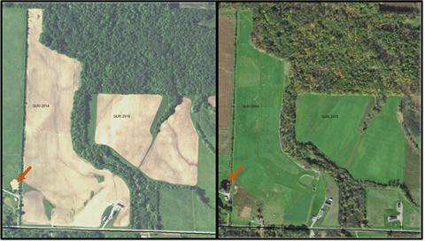 Before (left) and after (right) converting eroding cropland to permanent pasture (note the neighbor’s pond is no longer brown).