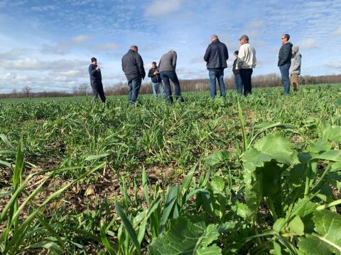 A group examines cover crops at Kane Dairy in the fall. 