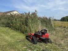 Staff use a remote-controlled slope mower to control phragmites. The vehicle safely mows vegetation on steep and uneven hillsides. (Credit: Michael Arce, Wisconsin Tribal Conservation Advisory Committee)