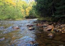 The wild Gratiot River in the Upper Peninsula’s newest community forest. (Credit: Superior Watershed Partnership