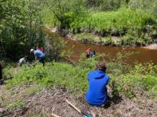 Six people along the banks of a stream. 5 of them are hunched over examining things on the ground. A sixth person is squatting in the forefront, his back to us, looking at the water.