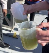 Hands holding small pitcher and water bottle that contains green water.