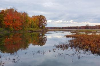 A photo of Presque Isle State Park wetlands