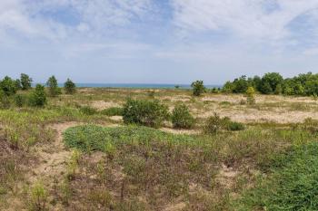 photo of Chiwaukee Prairie dune swale habitat