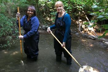 Teachers work in a stream