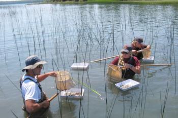 People sample in wetland