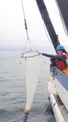 a person on board a ship pulls a conical sampling net suspended by a crane toward the ship