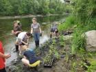 Flint River GREEN Bridges students from Kuehn-Haven Middle School plant native riparian plants along the Flint River at Barber Park in Montrose, Michigan. (Credit: Kelly Sanborn)