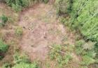 A drone captures aerial view of guest workers planting a brush-cleared riparian gap along the Baptism River in 2021. (Credit: Chris Dunham, The Nature Conservancy)