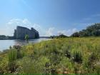 Grasses and flowering plants make up the majority of a riverbank meadow vegetation community along the restored shoreline of the Buffalo River near Katherine Street in Buffalo, New York, Aug. 9, 2023. The U.S. Army Corps of Engineers, Buffalo District completed closeout of the $2.7 million habitat restoration, funded by the U.S. Environmental Protection Agency’s Great Lakes Restoration Initiative. (U.S. Army photo by Jane Clark)