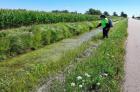 Saginaw Bay CISMA’s strike team member Jami VanScoyoc conducts European frog-bit treatment in July 2024 along a roadside ditch of Sagatoo Road in Arenac County, which leads to the Saginaw Bay. Invasive European frog-bit can spread through roadside ditches, drains and canals further inland or into the bay. Courtesy photo by Stephanie Hoyle, Saginaw Bay CISMA. 