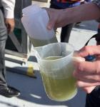 Hands holding small pitcher and water bottle that contains green water.