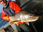 Person in a boat holding a large lake trout.