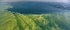Overhead  view of large cyanobacteria blooming in western Lake Erie. 