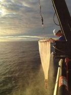 Worker holding net