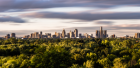 View of a city skyline and trees.